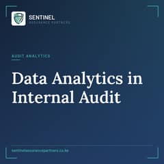 data analytics in internal audit