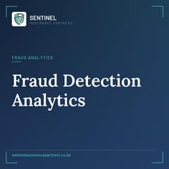 fraud detection analytics
