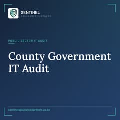 county government IT audit