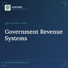 government revenue systems