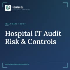hospital IT audit