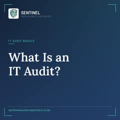 IT audit
